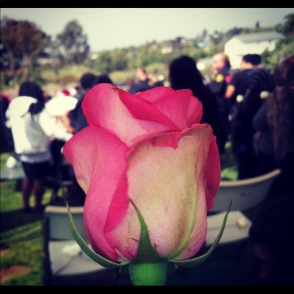 Meet your Posher, Alba - Picture 1 of 1